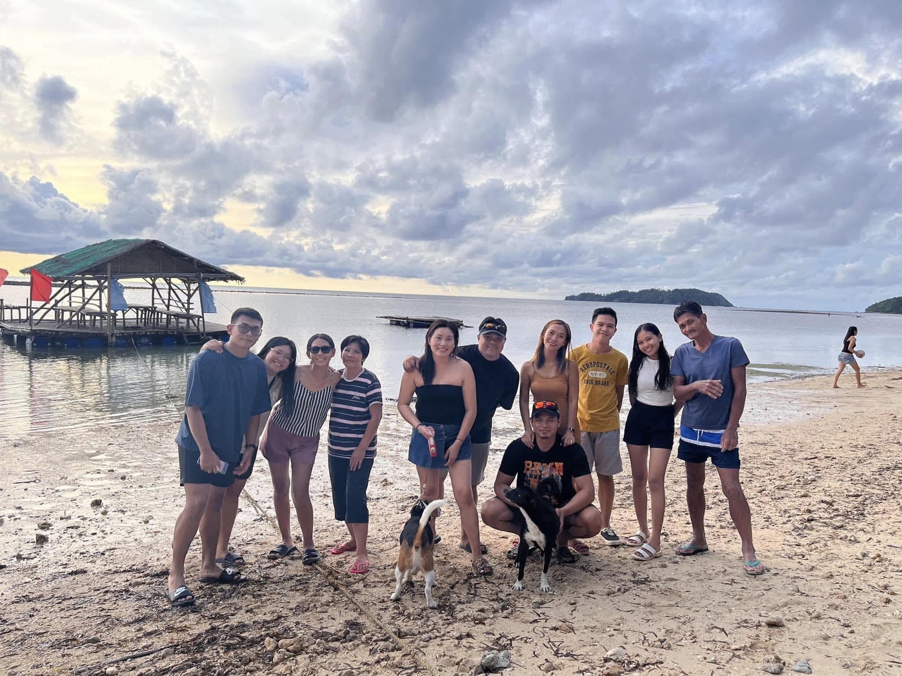 A group photo on the beach at golden hour with dogs